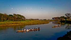 chitwan national park (place to visit in nepal)